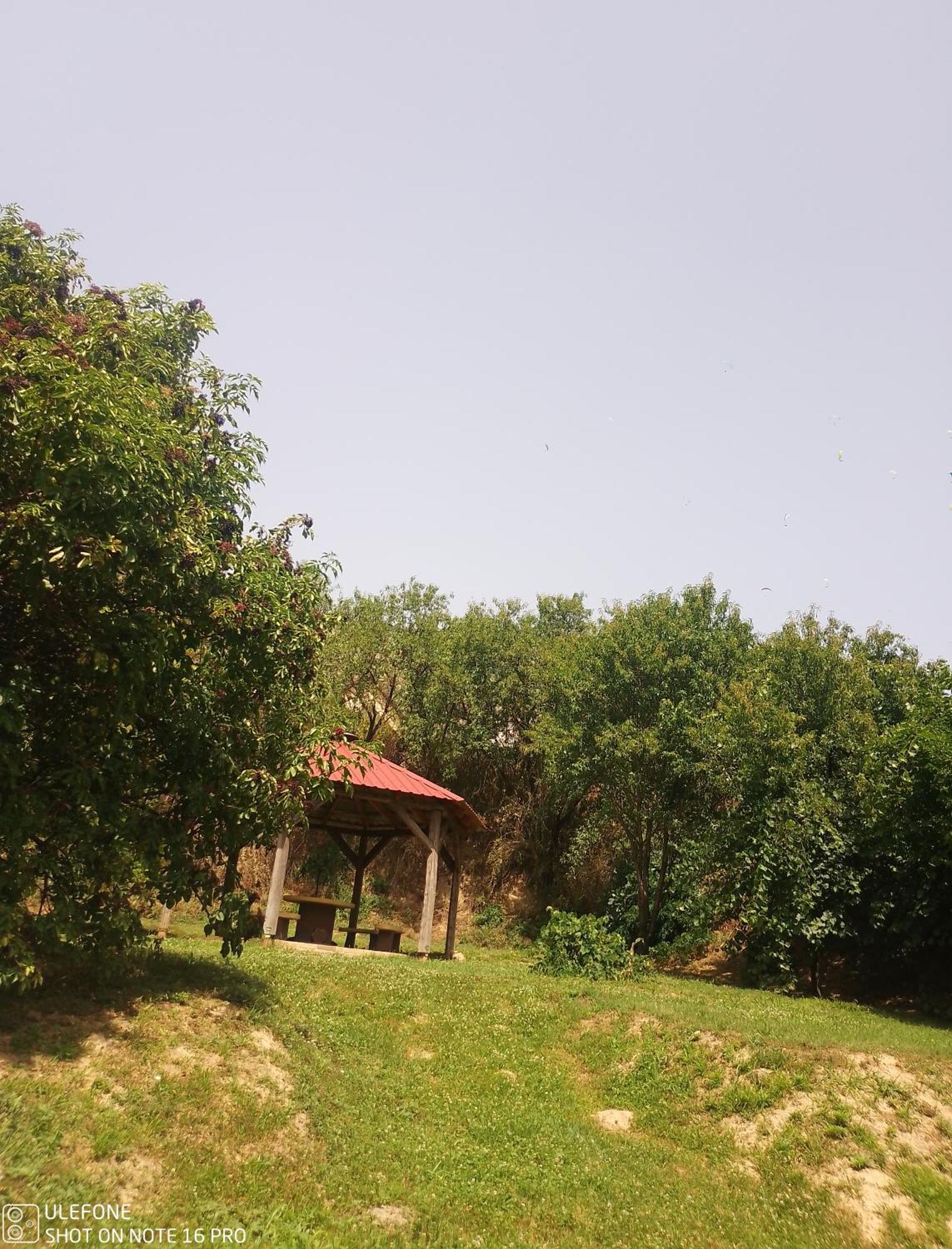 הוילה Nagyharsány Retro Vendeghaz מראה חיצוני תמונה